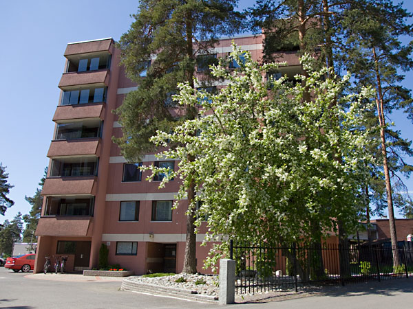 Riihim&auml;enkatua